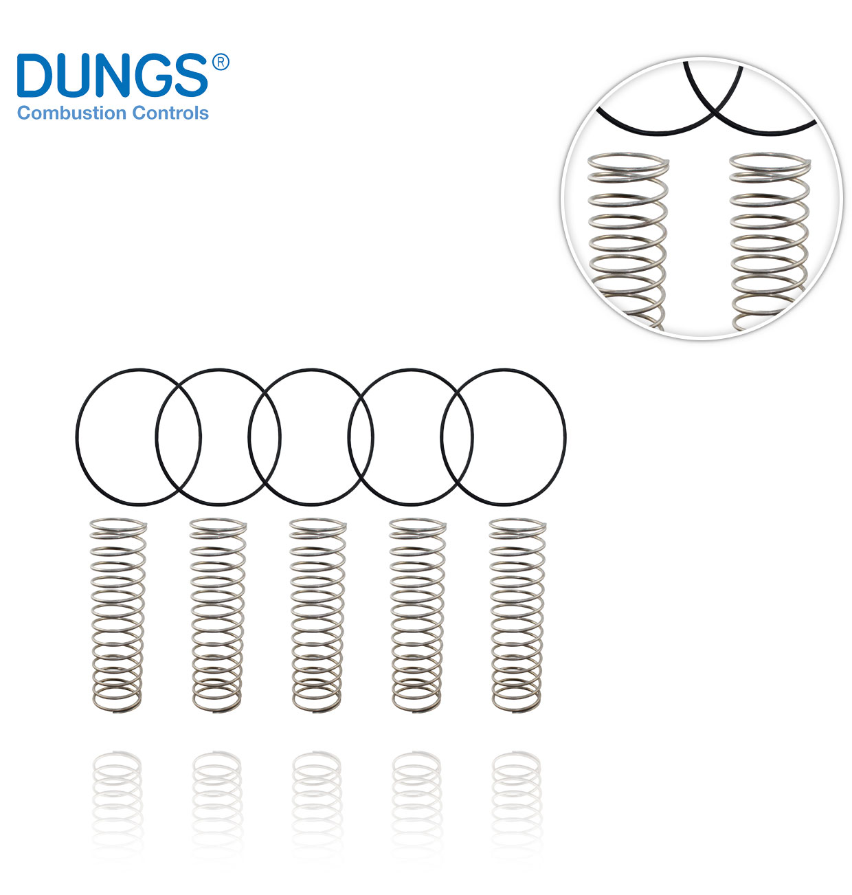DUNGS COMPENSATION SPRING FOR FRNG 5150  DN150 (5 units)